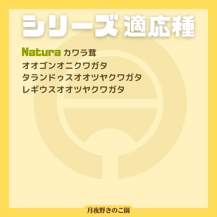 楽天市場】◇N-1100 カワラタケ系菌糸ビン！1100CC！1本目にオススメの