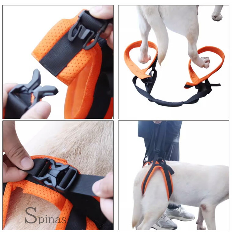 楽天市場】大型犬サイズあり 歩行補助ベルト 細タイプ 犬 お尻 下半身