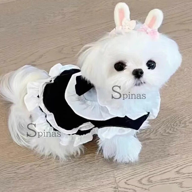 楽天市場】小型わんこ 白フリル ロリータワンピース メイドワンピース