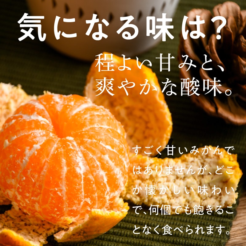 楽天市場】【送料無料】宮崎県産南国みかん5kg（シトラス21）家庭用に