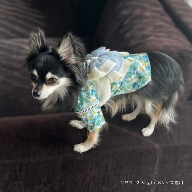 現品限り！有松絞り 小型犬 本格犬浴衣 S 在庫限り 浴衣