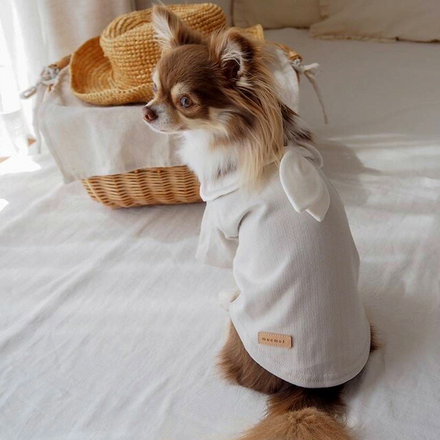 犬服^ ^本革コームケース