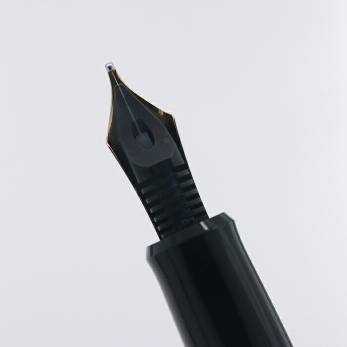 楽天市場】PILOT パイロット 万年筆 カスタム レガンス ブラウン 太字