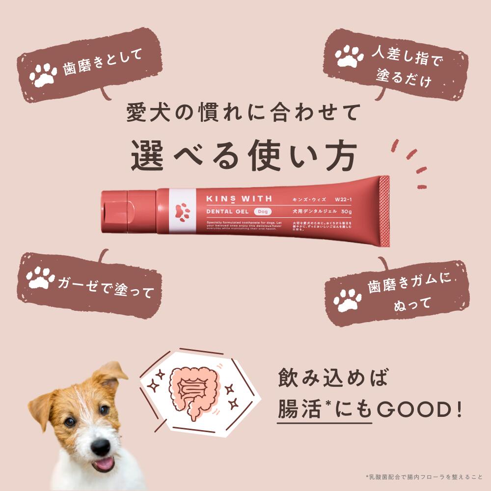 楽天市場】【ポイント10倍 2/4 20:00 - 2/10 1:59】【公式】 KINS WITH