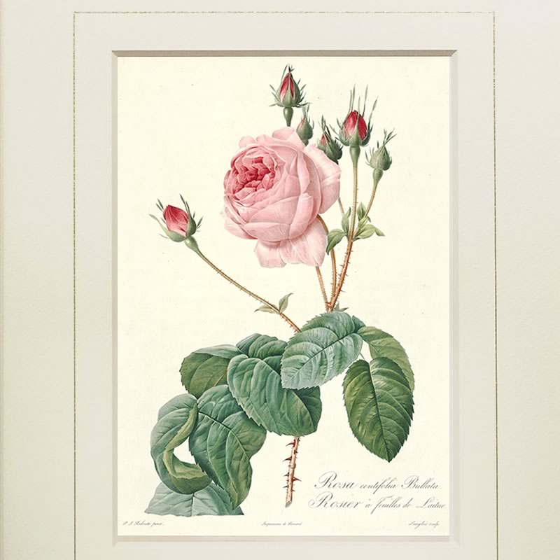 藤原俊成 書 掛け軸 小松茂美 複製 消息 手紙 古筆 古写本 【公式通販】