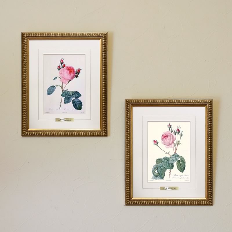 楽天市場】絵画 インテリア ルドゥーテ ローズ 絵額 複製画 『 バラ