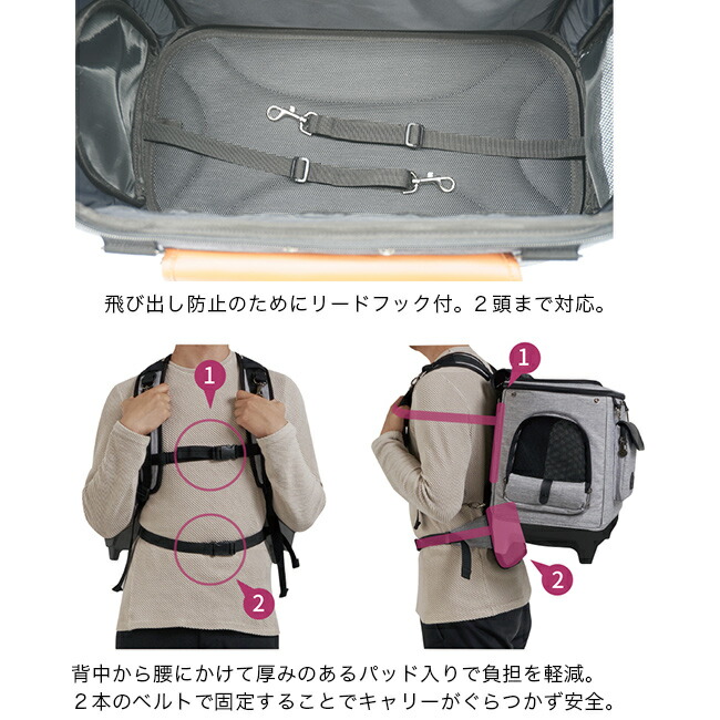 楽天市場】【特典あり】Royal Tails Alice ロイヤルテイルズ アリス