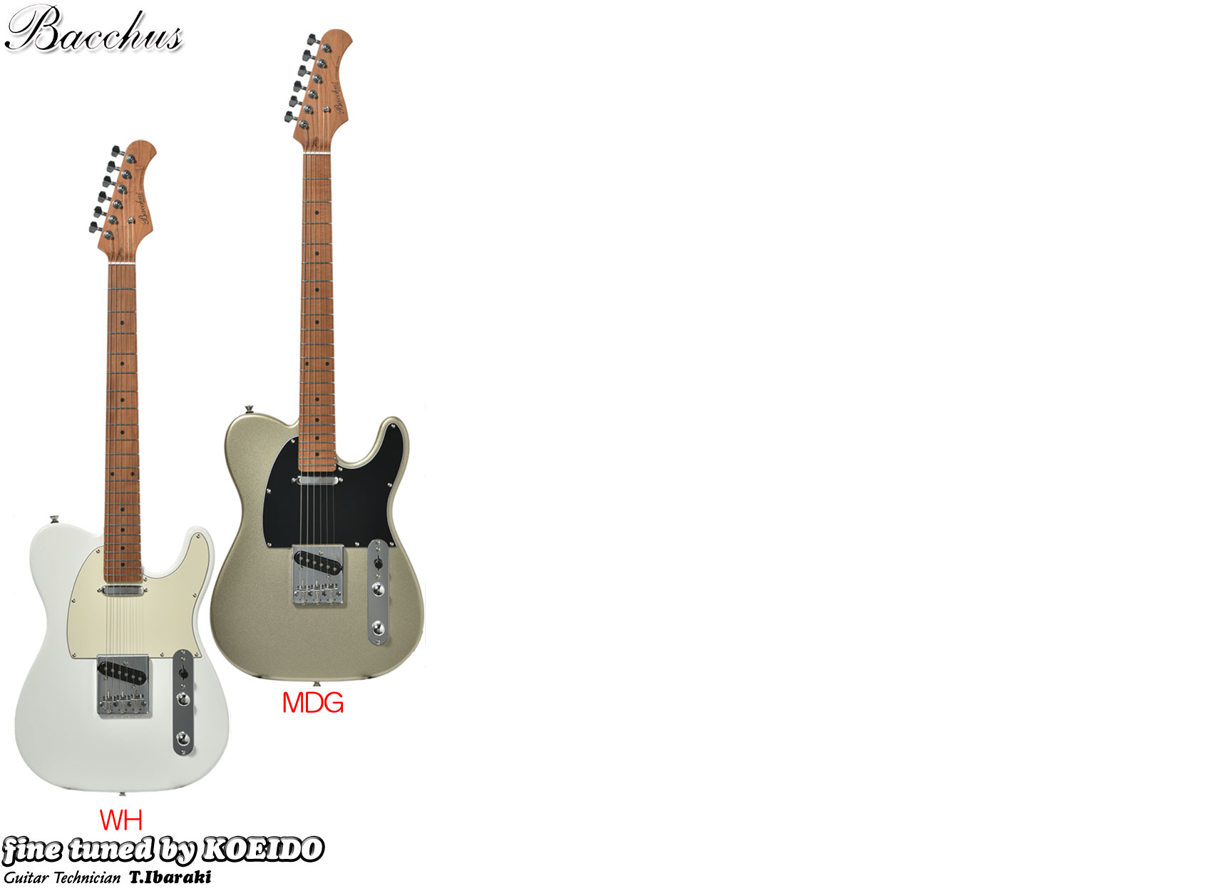 楽天市場】Bacchus BTE-1DX RSM/M【ストラップサービス中！】【送料