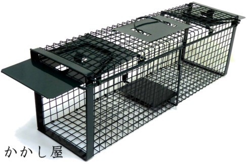 楽天市場】小動物キャッチャー 両ドアタイプ踏み板式 前後の扉が開き