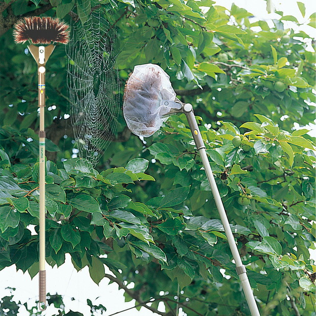 楽天市場】アズマ公式 クモの巣取りF LL593 : アズマ公式 楽天市場店