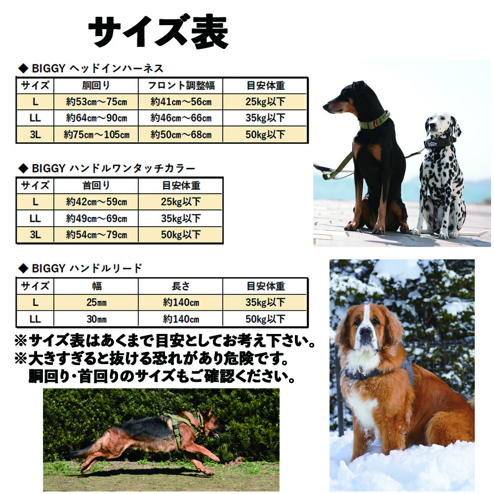 楽天市場】※2月マラソンありがとうクーポン 首輪【大型犬向け