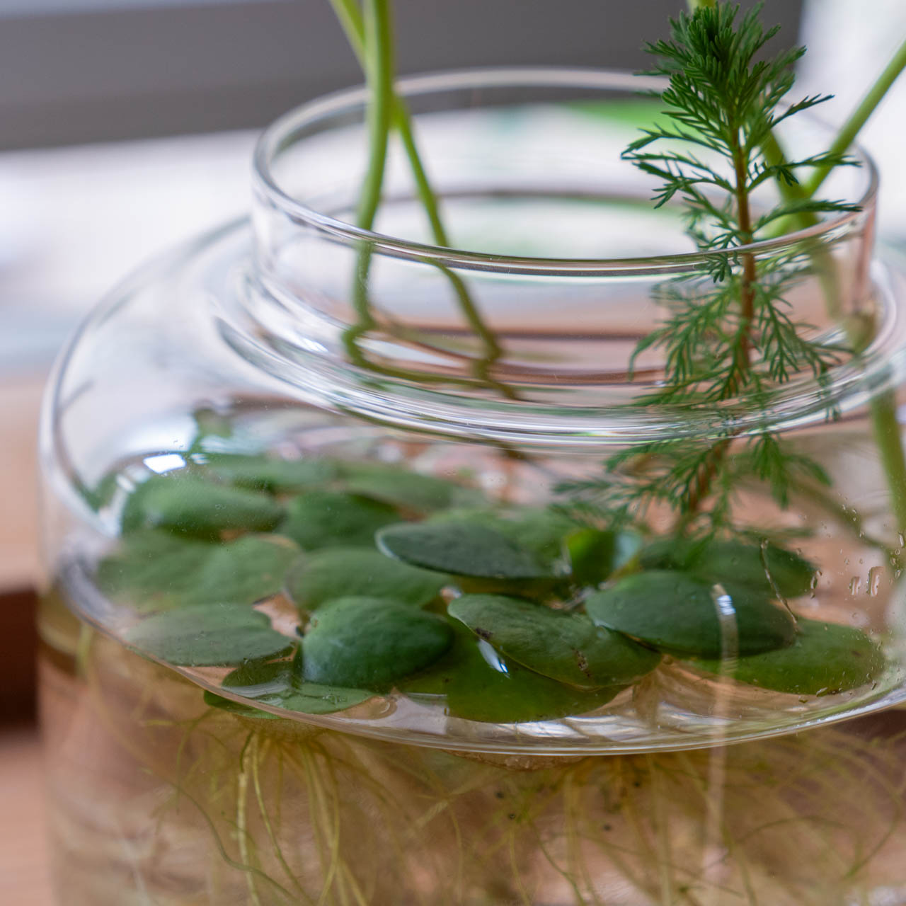 楽天市場】スクルーフ SKRUF RO ベース 9877 花瓶 フラワーベース