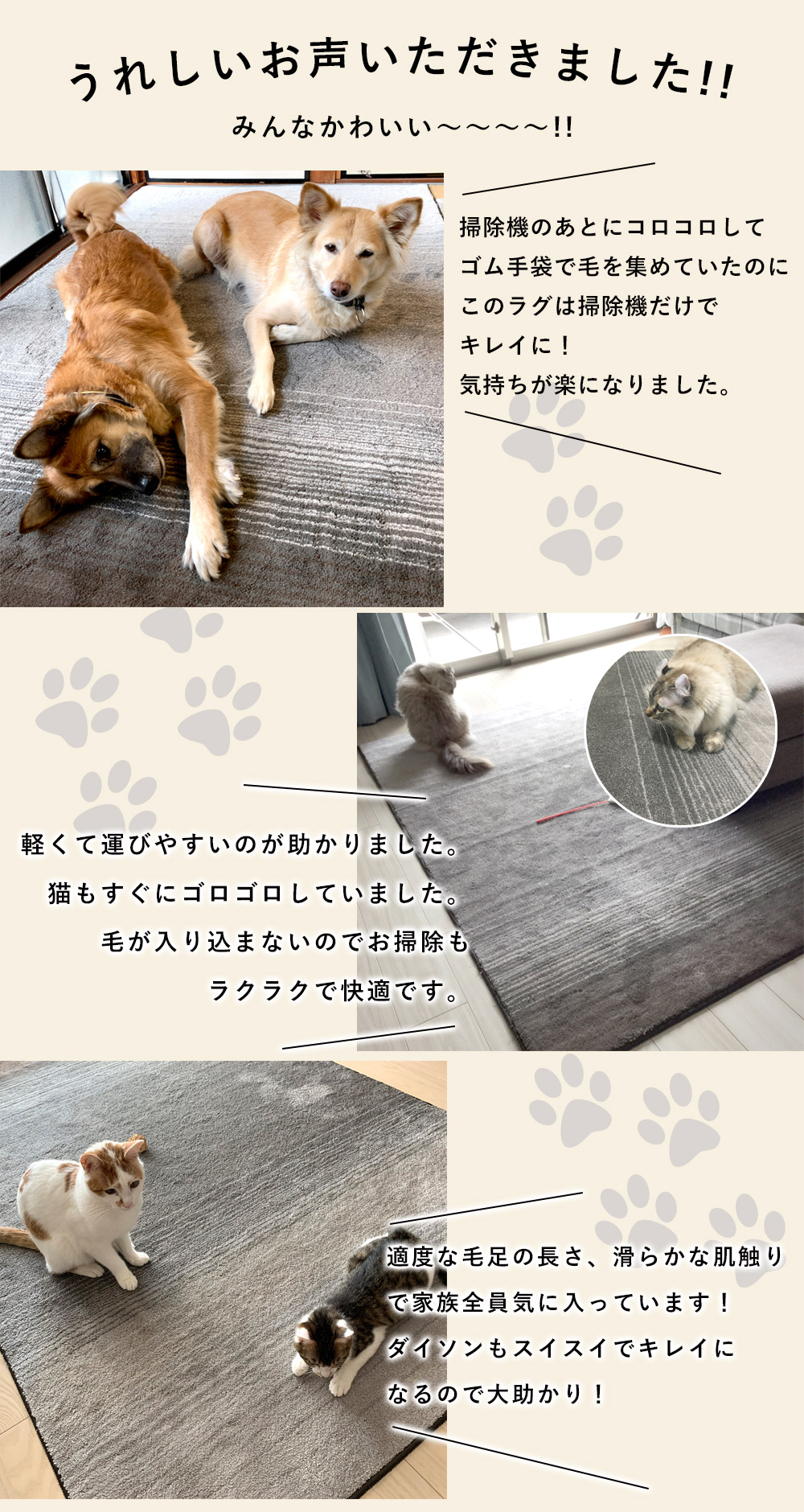 楽天市場】ラグ ラグマット マット カーペット ペット用 おしゃれ 北欧