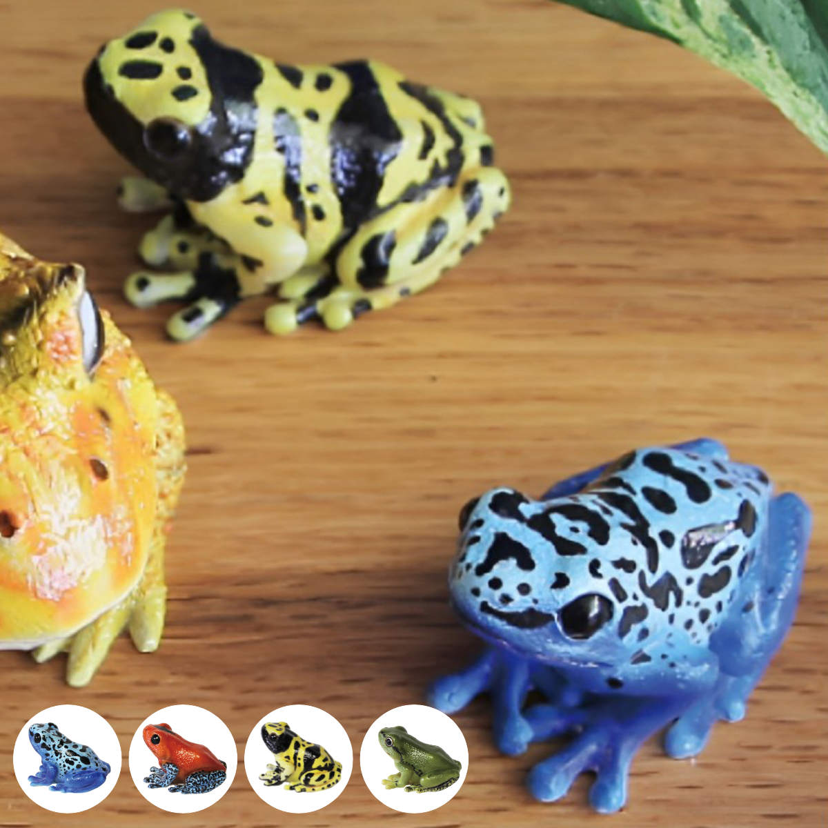 楽天市場】オブジェ REPTILES MAG ヤドクガエル アマガエル