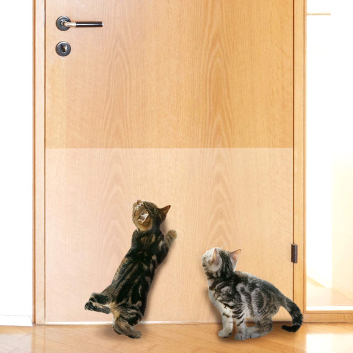 楽天市場】ツメ傷保護シート 45cm×90cm 貼ってはがせる （ 壁 保護