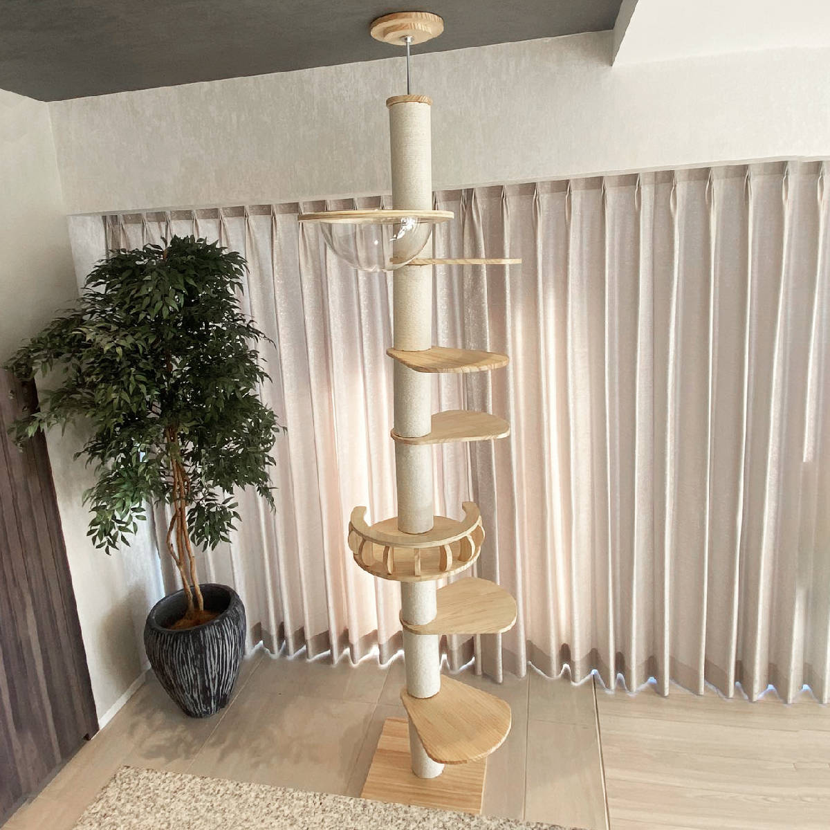 楽天市場】キャットタワー ねこぞく パスピエ 木製 突っ張り スリム