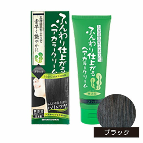 利尻 ヘアカラートリートメント ブラック」の人気商品一覧 | 安い商品