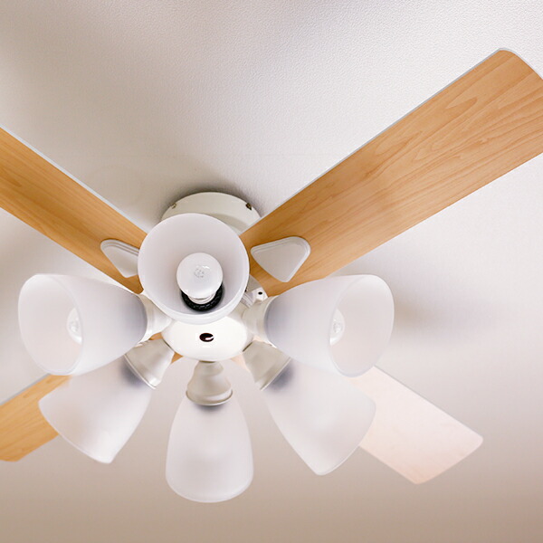 楽天市場】シーリングファンライト シーリングファン シーリングライト