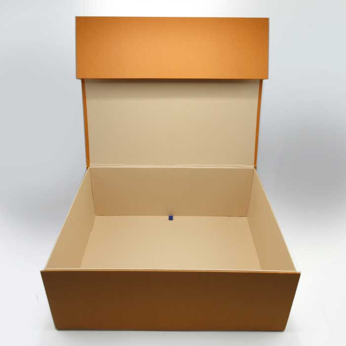 楽天市場】【単品購入可 / 訳あり】LOUIS VUITTON ルイ・ヴィトン 専用