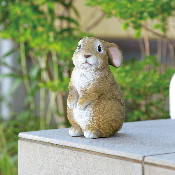 うさぎ。ページ ウサギ☆ 兎 うさぎページ うさ@ページ まっきーページ