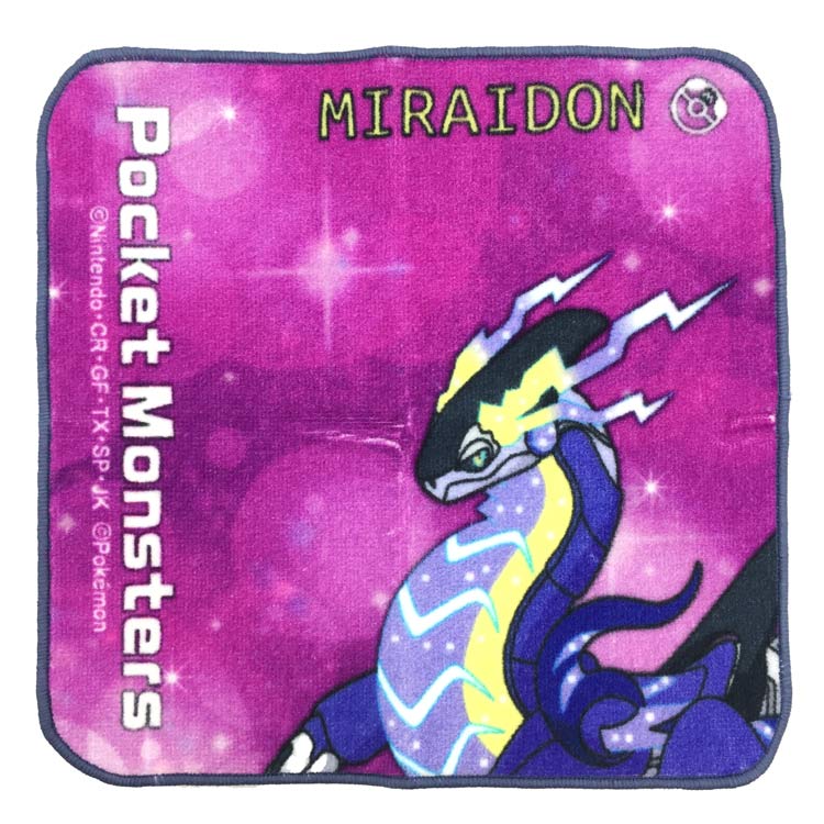 初代 ポケモングッズ タオル ハンカチ ビーチバック スプーン 黒板