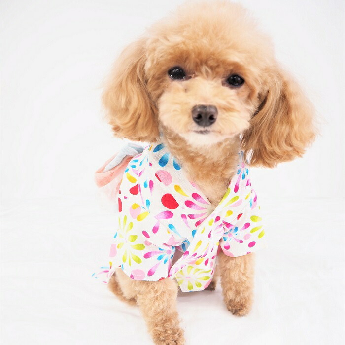 楽天市場】浴衣 0～6号 祭り 子犬 お揃い 和装 和服 和柄 和 極小型犬