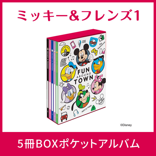 楽天市場】【送料無料】【2種類まとめ買いセット】ナカバヤシ 5冊BOX