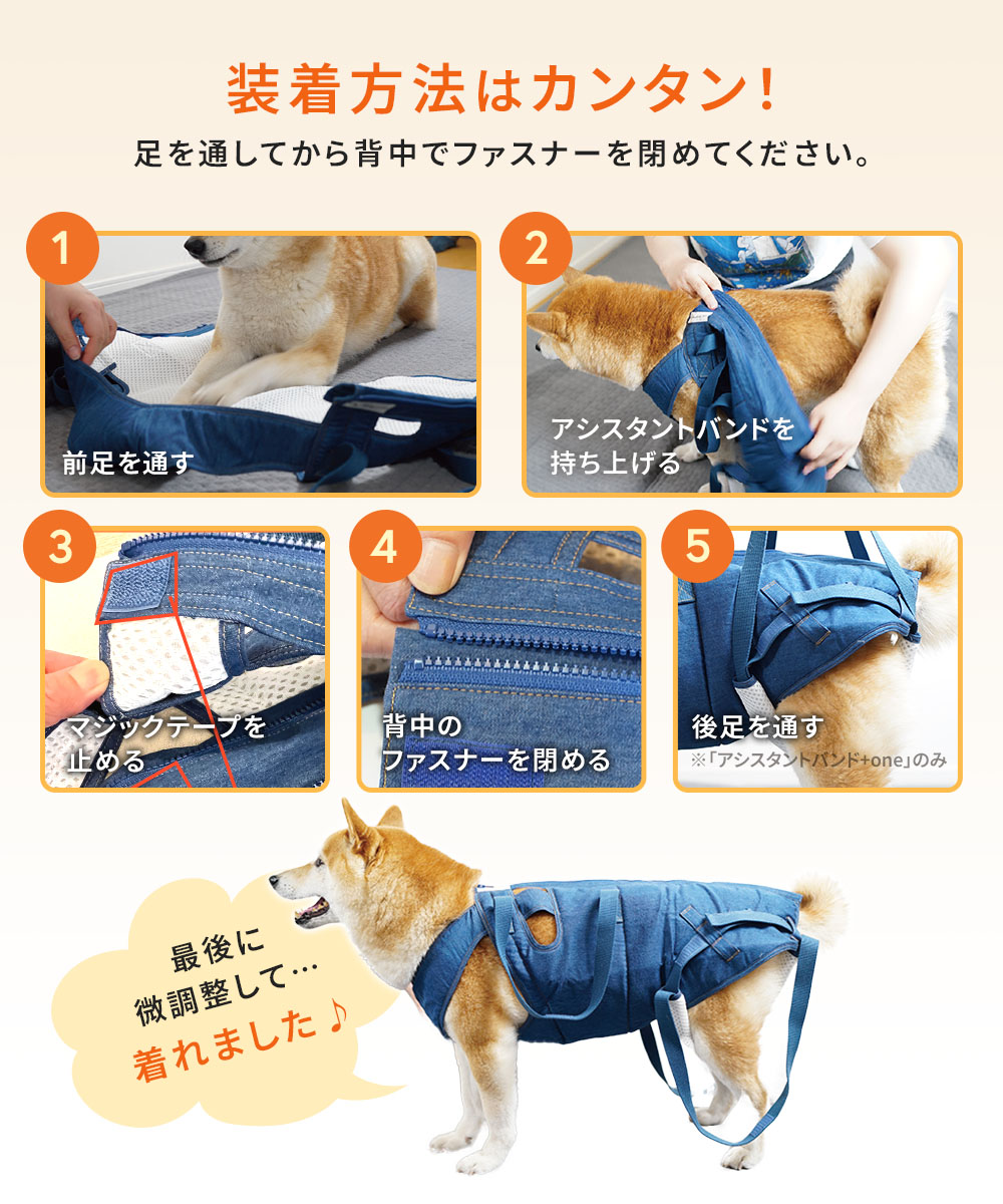 楽天市場】【マラソン限定☆P5倍】日本国内縫製＆5万着販売 犬 介護