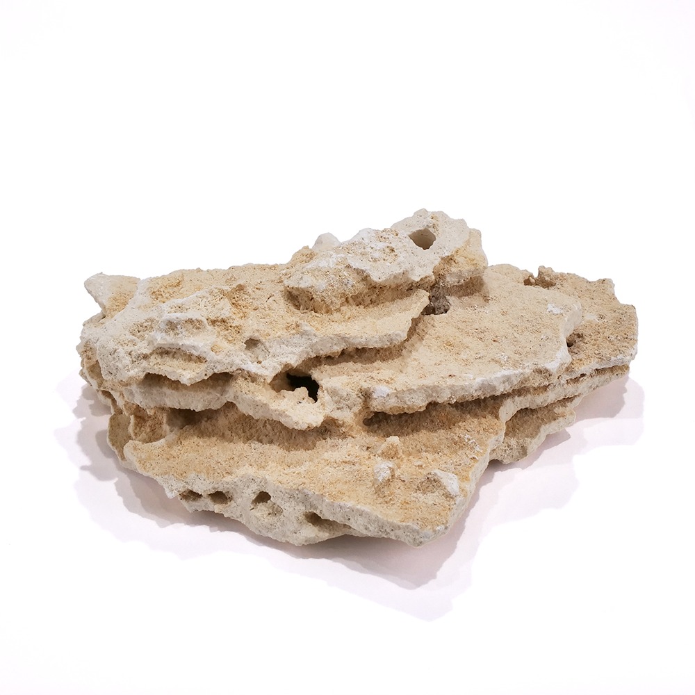 楽天市場】ライブロックモジュール C アクアリウム 擬岩 : plantstech