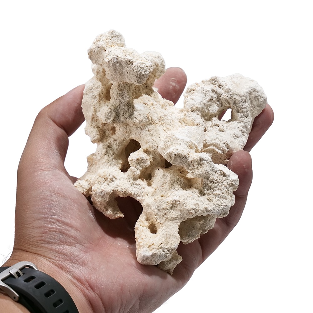 マルコロック リーフセメント セット マルコロック リーフセメント セット マルコロック リーフセメント セット