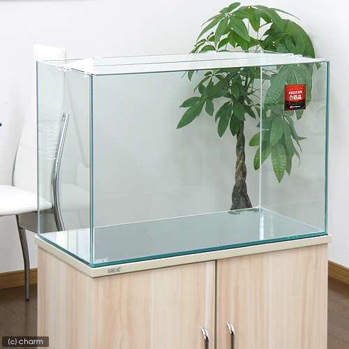 楽天市場】【送料無料】 コトブキ 120cmガラス水槽 KC