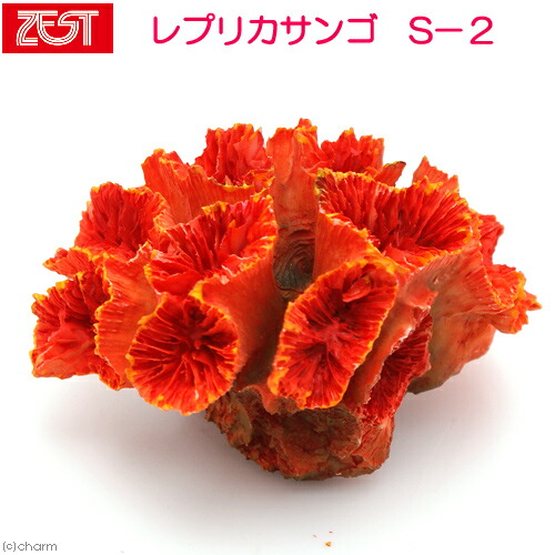 楽天市場】ゼンスイ ZEST レプリカサンゴ S−2 : plantstech楽天