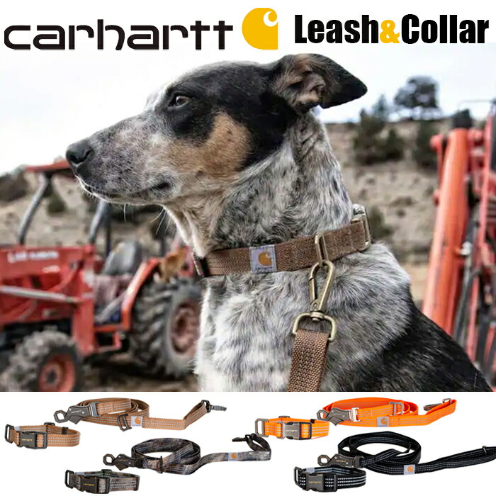 楽天市場】【ネコポス】カーハート 犬用首輪 リード セット アメカジ