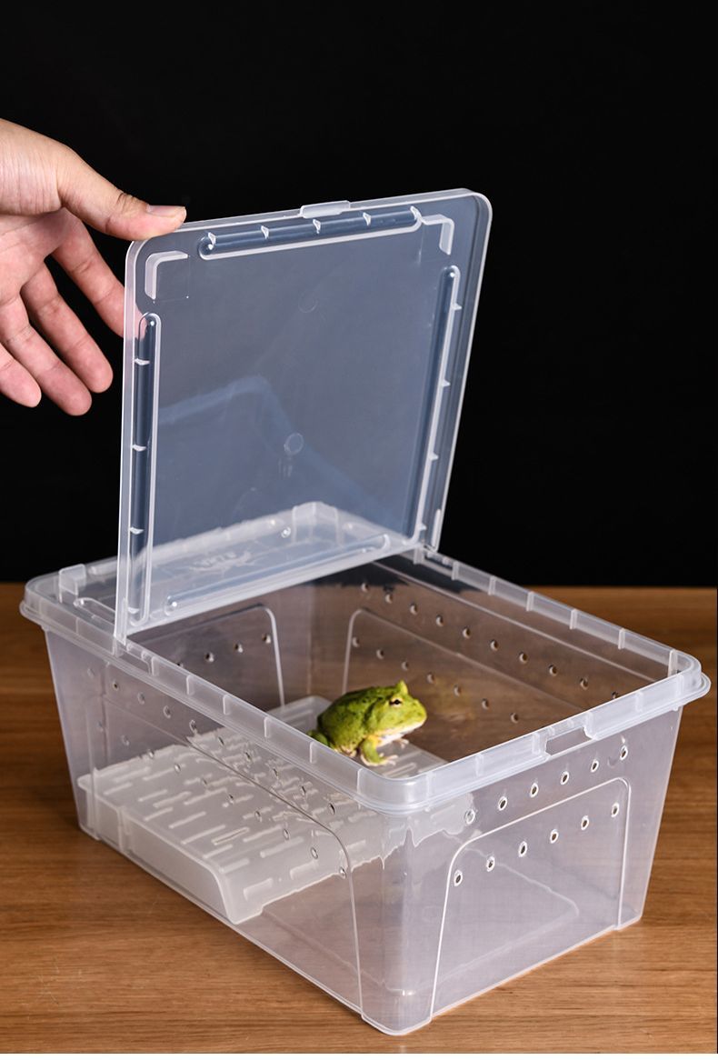 透明ケージ飼育・ディスプレイ用 角に補修跡あり Amazon | PUERI