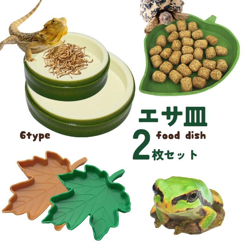爬虫類 水 エサ入れ 23 【公式通販】