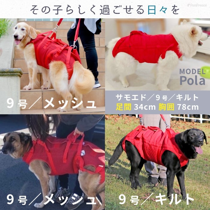 楽天市場】【在庫処分セール品】犬 ハーネス 介護用ハーネス 安心