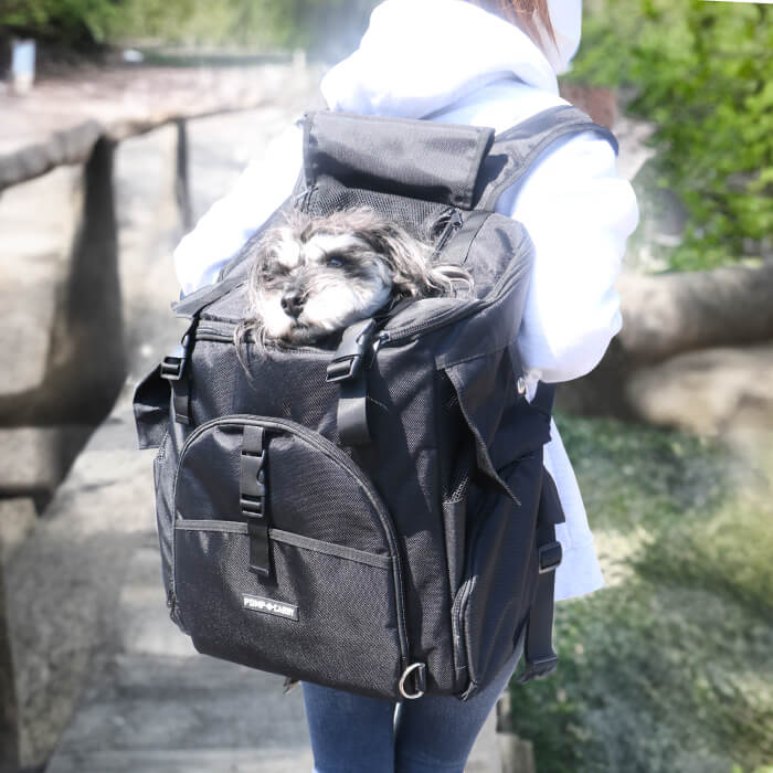 楽天市場】【エントリーでポイント5倍確定】犬 猫 小動物 キャリー