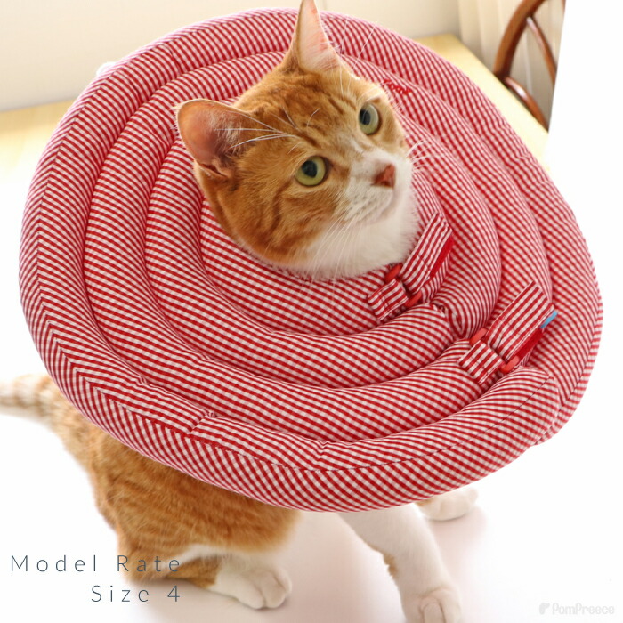 楽天市場】【エントリーでポイント5倍確定】エリザベスカラー ソフト