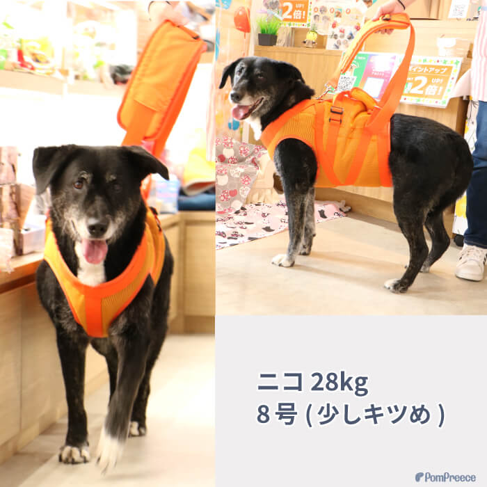 楽天市場】【エントリーでポイント5倍確定】中型犬 大型犬用 介護