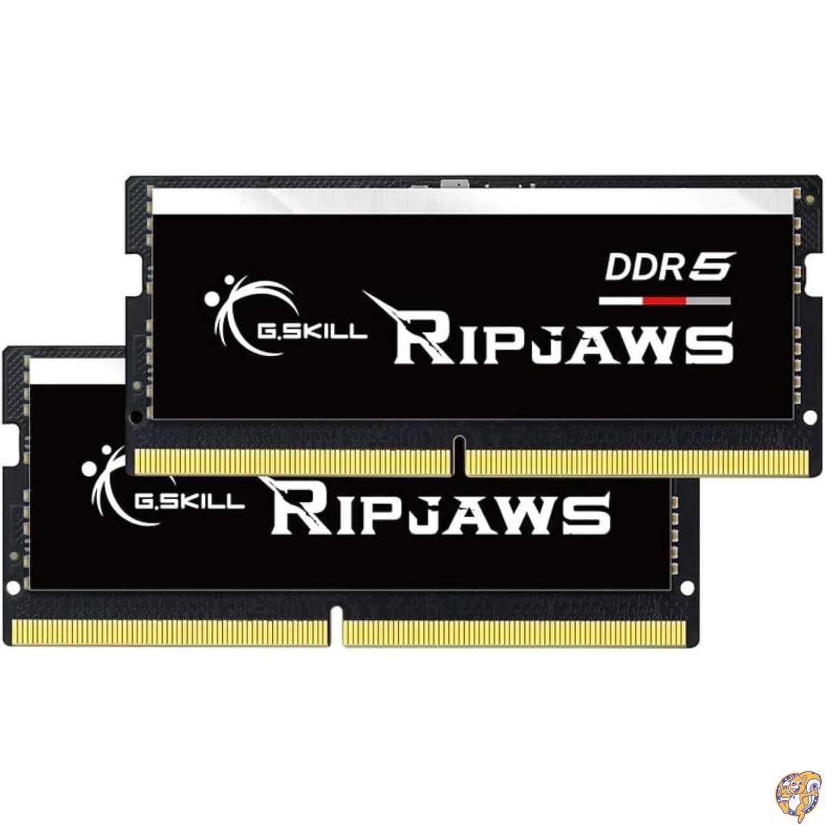G.SKILL Ripjaws S5 DDR5」の人気商品一覧 | 安い商品を通販サイトから