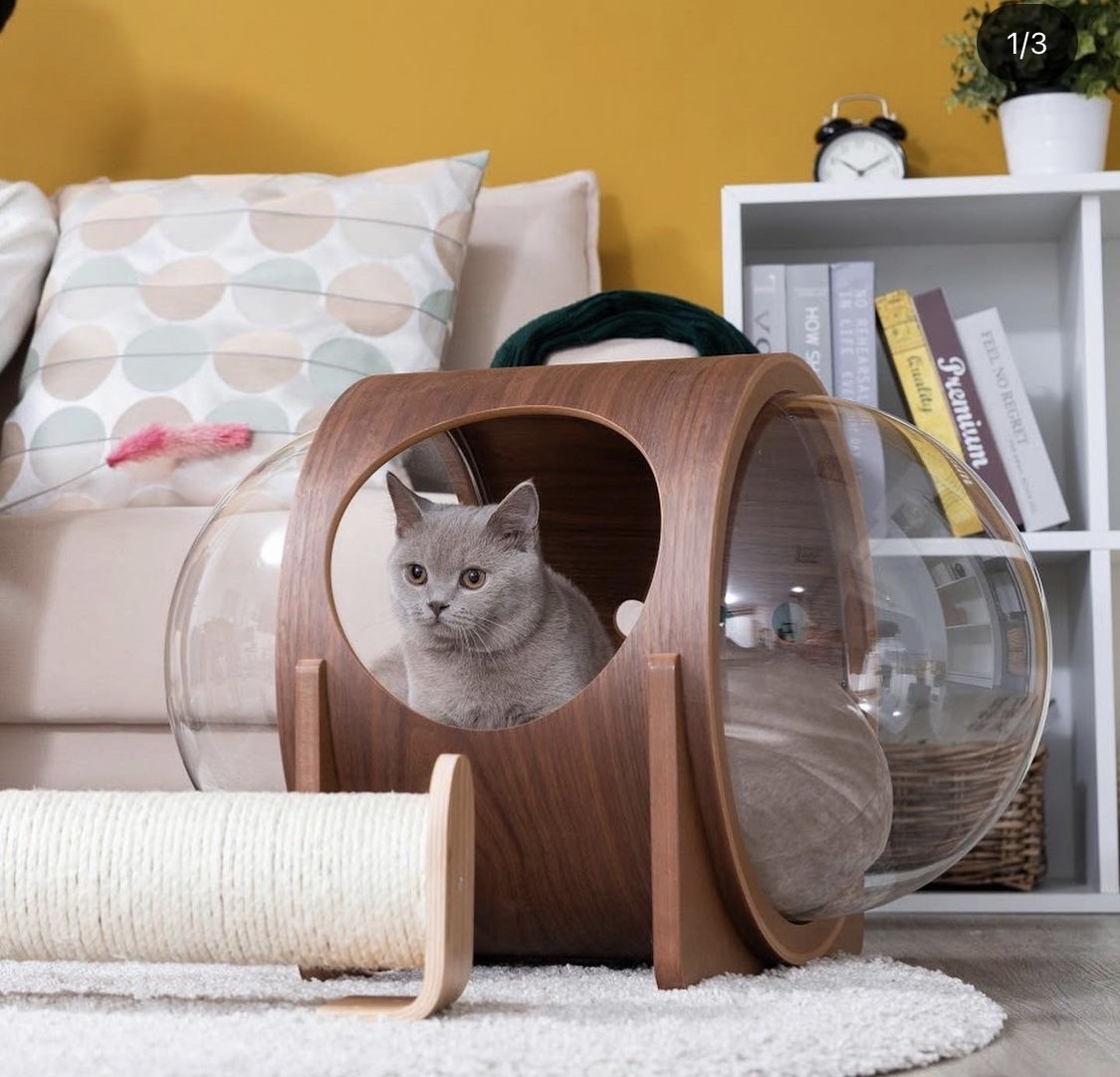 楽天市場】MYZOO マイズー 宇宙船ALPHA キャットハウス キャット