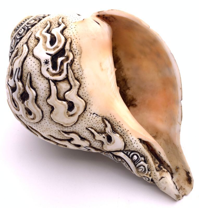 ◇チベット密教法具 法螺貝（シャンカ）