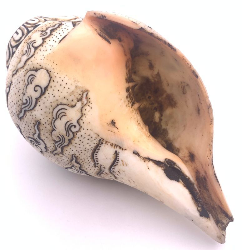 楽天市場】◇チベット密教法具 法螺貝（シャンカ）カーリー : PEMA NIMA