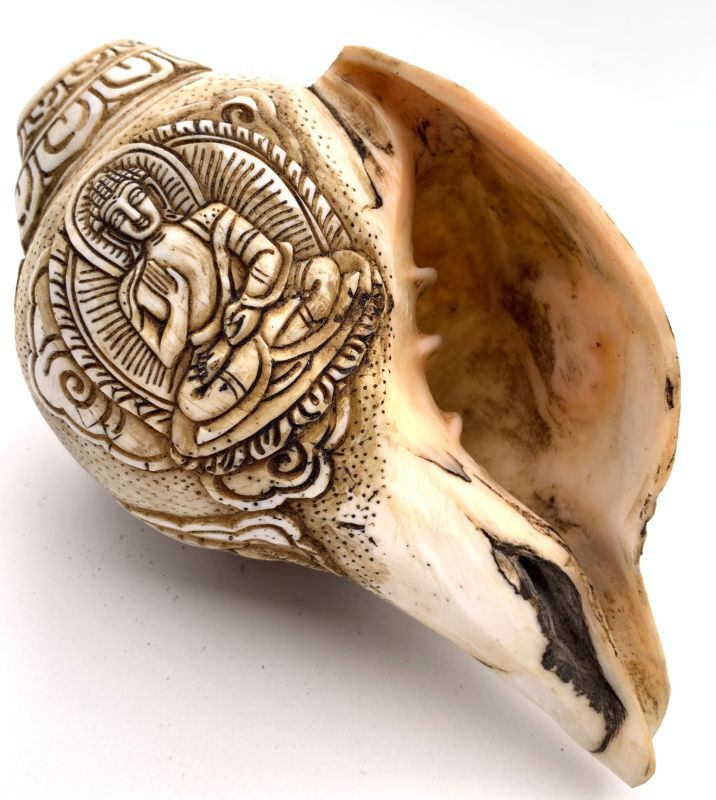 楽天市場】◇チベット密教法具 法螺貝（シャンカ）ブッダ 釈迦如来