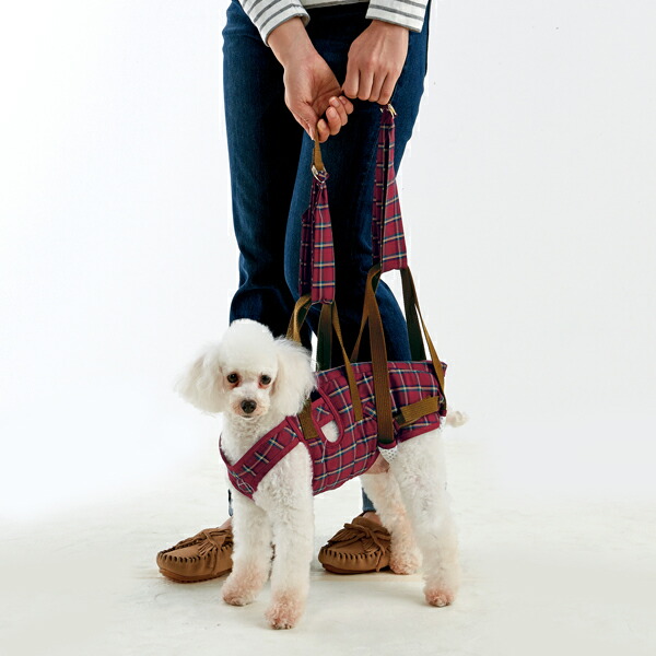 楽天市場】アシスタントバンド リフト 着丈37×バスト55・60×ウエスト53