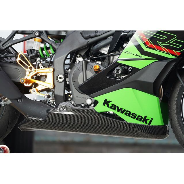 才谷屋 アンダーカウル 黒ゲル YZF-R6 才谷屋ファクトリー Ninja250R