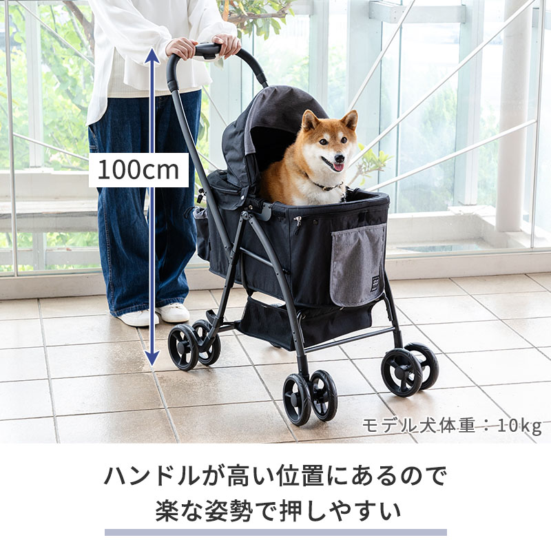 楽天市場】【ポイント10倍】【880円OFF】【ペットパラダイス公式】 犬