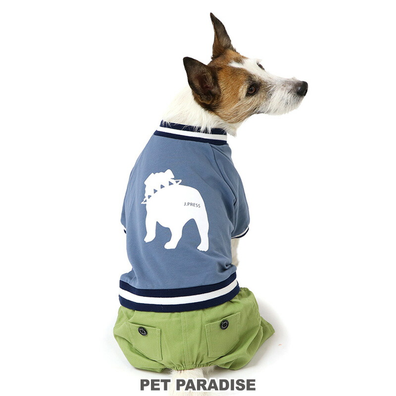 犬服 3S わんこの普段着 ジェシカ 犬服 3S わんこの普段着ジェシカ