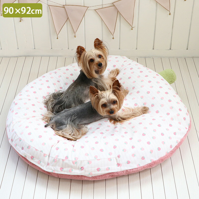 楽天市場】【ポイント10倍】【880円OFF】【ペットパラダイス公式】 犬