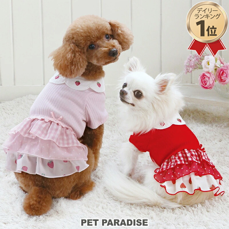 犬服 3S わんこの普段着ときどき白いちご